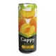 CAPPY KAYISI