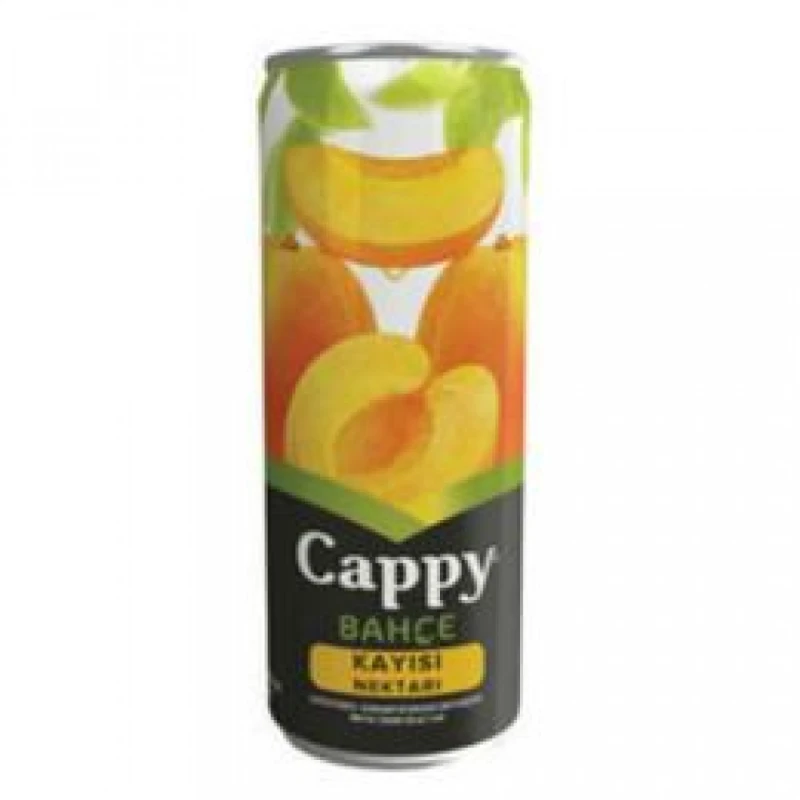 CAPPY KAYISI