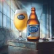 EFES PILSEN