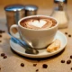 CAPPUCINO