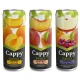 Cappy Kayısı