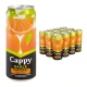 Cappy Portakal