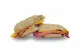 Jambon Cheddar Sandviç 200GR
